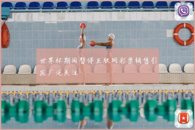 世界杯期间暂停互联网彩票销售引发广泛关注