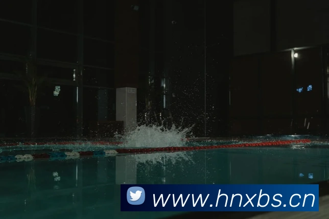 emc易倍官网平台生态图